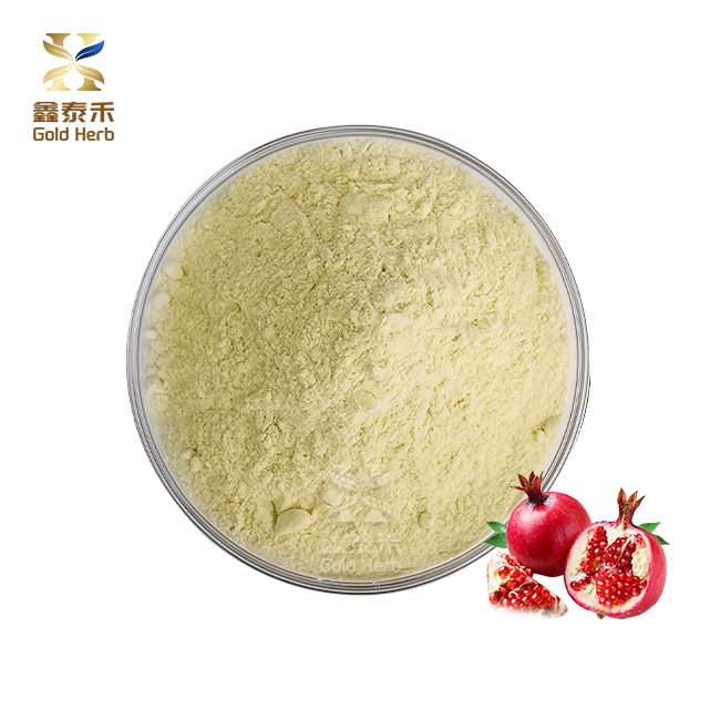 The Key Health Benefits of Urolithin A You Should Know The Key Health Benefits of Urolithin A You Should Know